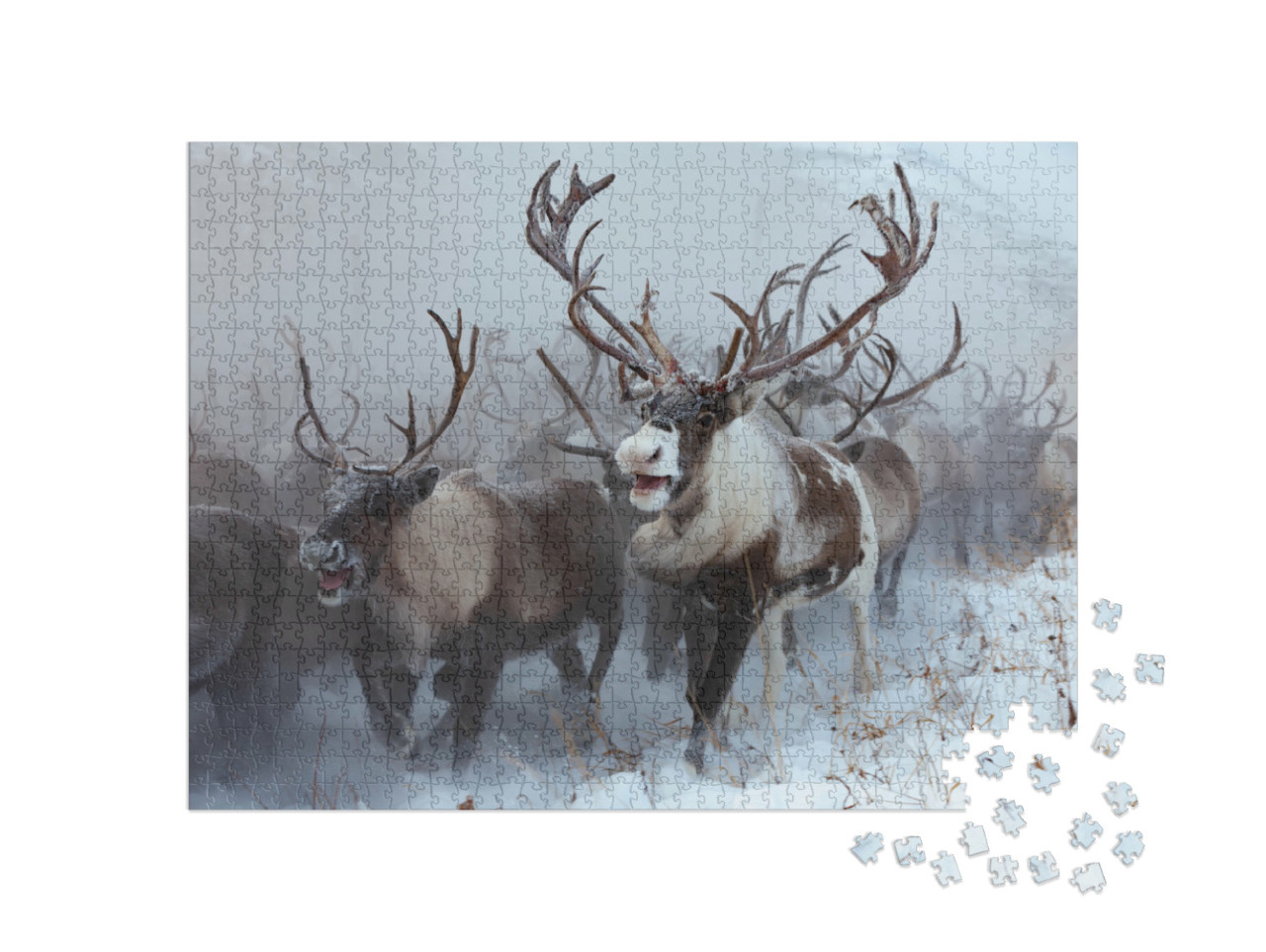 Puzzle 1000 Teile „Rentierherde im Schnee“