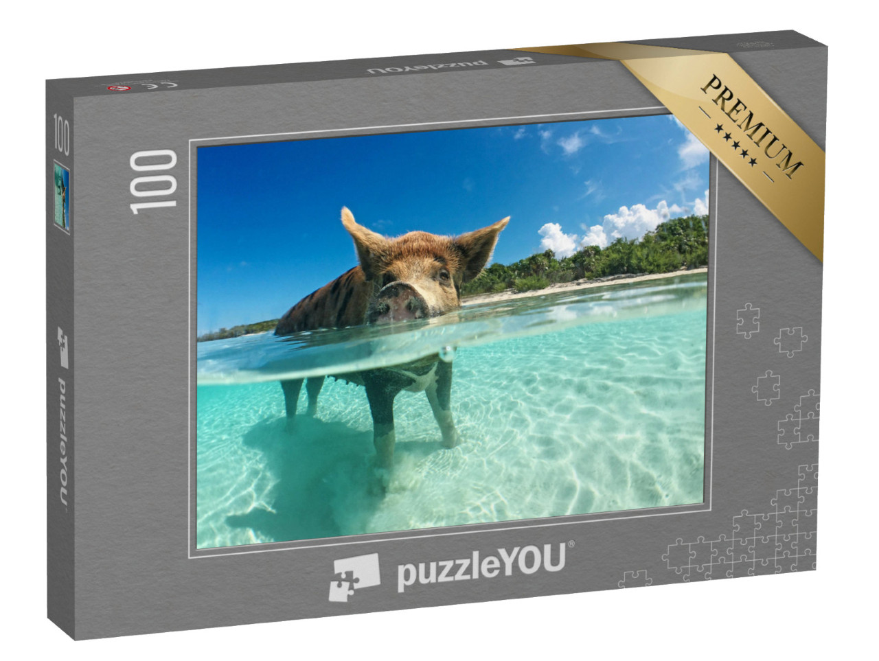 Puzzle 100 Teile „Wasserbegeistertes Wildschwein auf den Bahamas, Karibik“