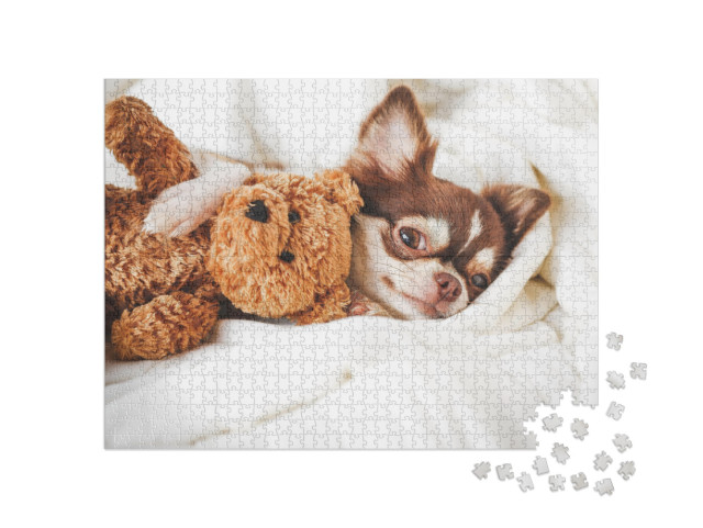 Puzzle 1000 Teile „Chihuahua-Welpe schlafend mit Teddybär“