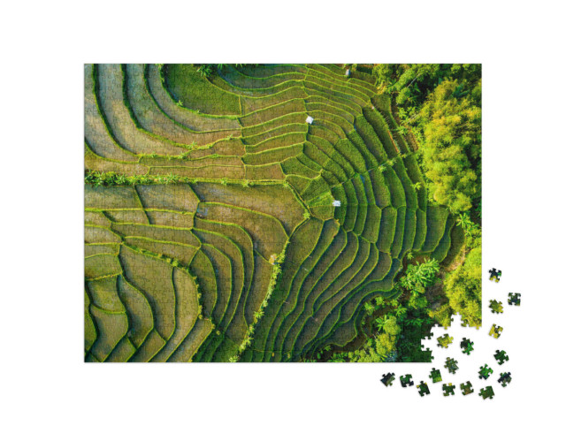 Puzzle 1000 Teile „Reisfeldterrasse, Java, Indonesien“