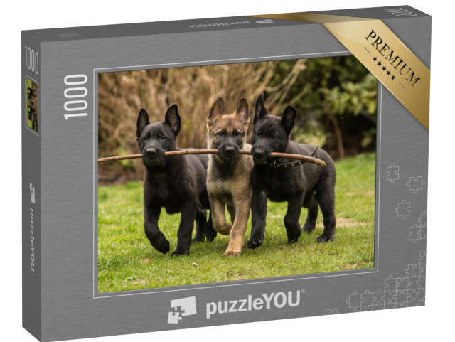 Puzzle 1000 Teile „Drei Schäferhundwelpen bringen einen Stock“