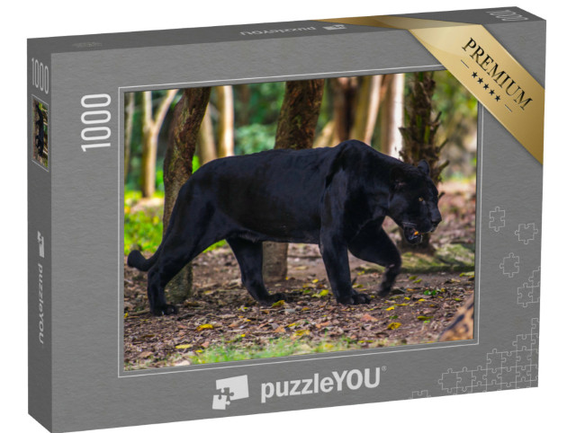 Puzzle 1000 Teile „Schwarzer Panther wandert durch den Dschungel“
