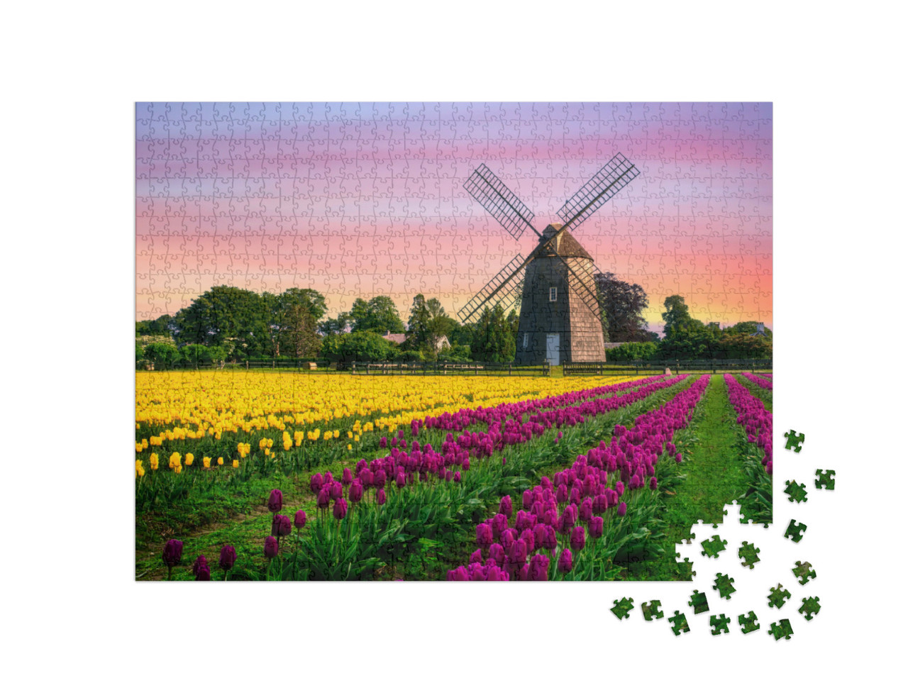 Puzzle 1000 Teile „Windmühle in einem Tulpenfeld mit Blumen“