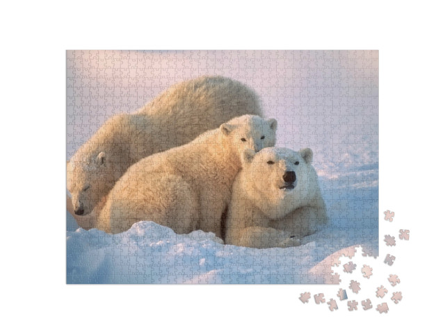 Puzzle 1000 Teile „Eisbärin mit ihren Jungen “