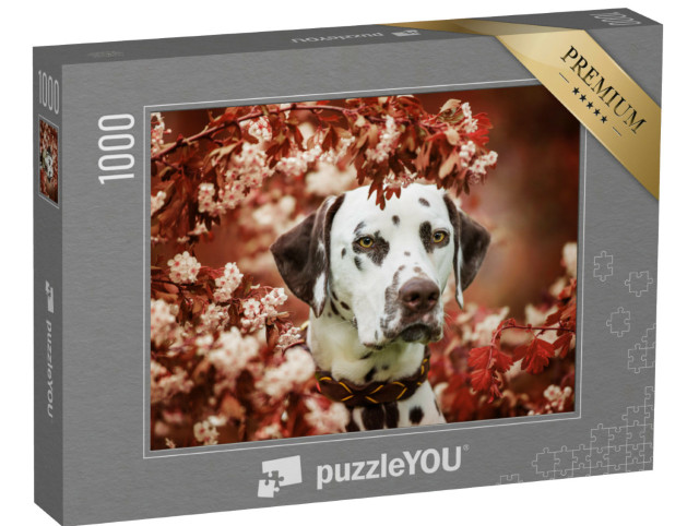Puzzle 1000 Teile „Schöner Dalmatiner“