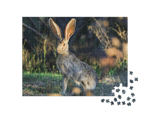 Puzzle 1000 Teile „Arizona Jack Rabbit in der Wüste“