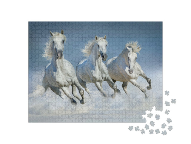 Puzzle 1000 Teile „Gruppe von arabischen Pferden läuft im Galopp durch den Schnee“