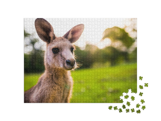 Puzzle 1000 Teile „Junges Känguru an der Ostküste Australiens“