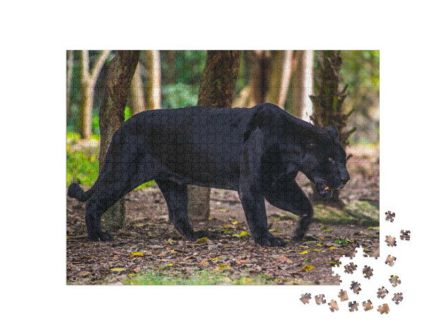 Puzzle 1000 Teile „Schwarzer Panther wandert durch den Dschungel“