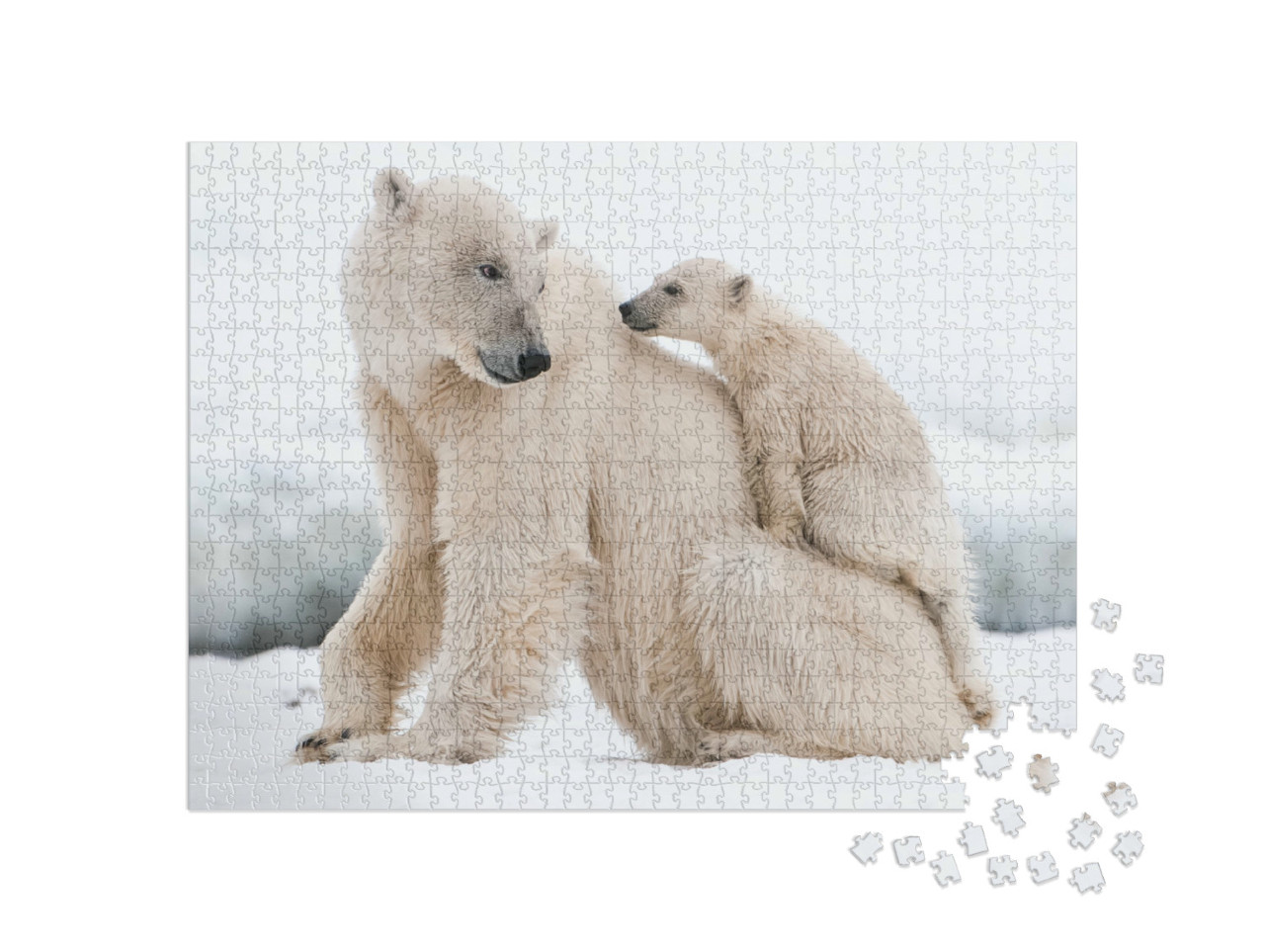 Puzzle 1000 Teile „Der Eisbär, Raubtier der nördlichen Arktis“