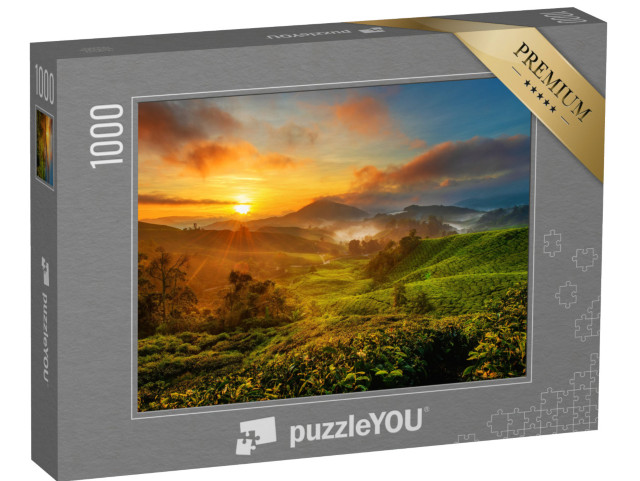 Puzzle 1000 Teile „Sonnenaufgang über einer Teeplantage im Cameron Highland, Malaysia“