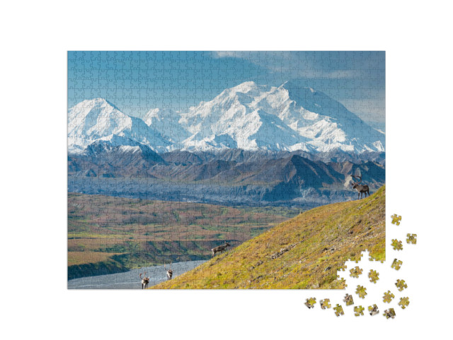 Puzzle 1000 Teile „Karibu-Hirsch vor dem Mount Denali, Alaska“