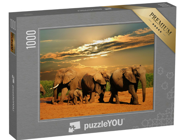 Puzzle 1000 Teile „Afrikanische Elefantenherde, Addo Elephant National Park, Südafrika“