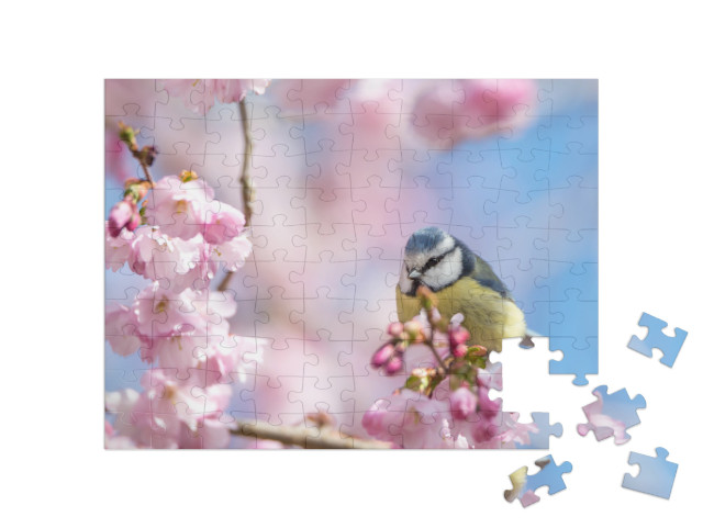 Puzzle 100 Teile „Eine Blaumeise sitzt auf einem schönen Zweig mit Kirschblüten“