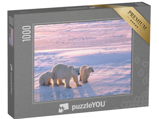 Puzzle 1000 Teile „Eisbär mit Jungtieren in der kanadischen Arktis“