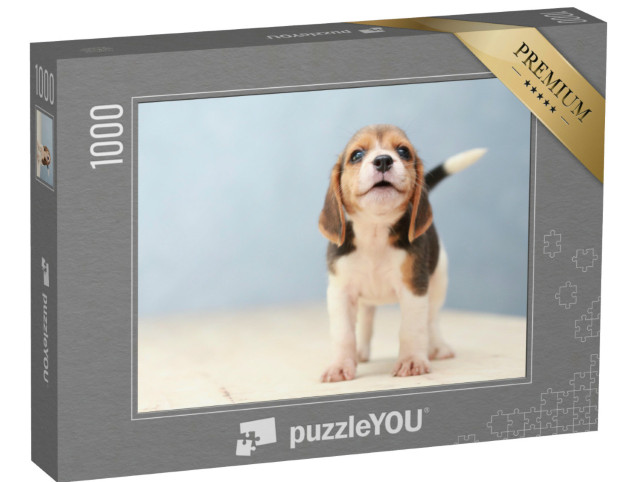 Puzzle 1000 Teile „Kleiner niedlicher Beagle-Welpe “