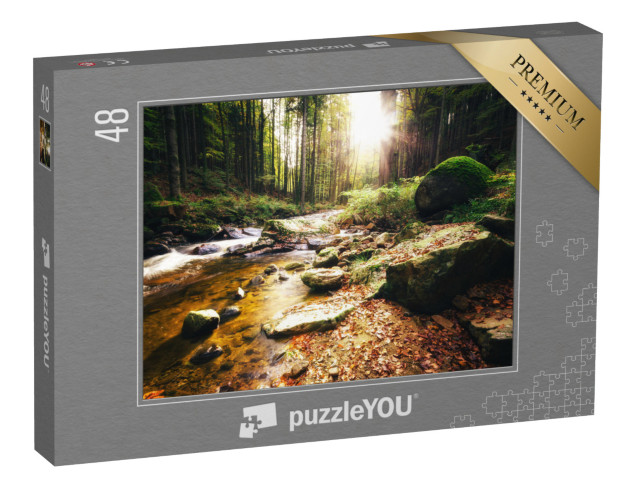 Puzzle 48 Teile „Sonniger Tag am Bach im Ilsetal, Harz“