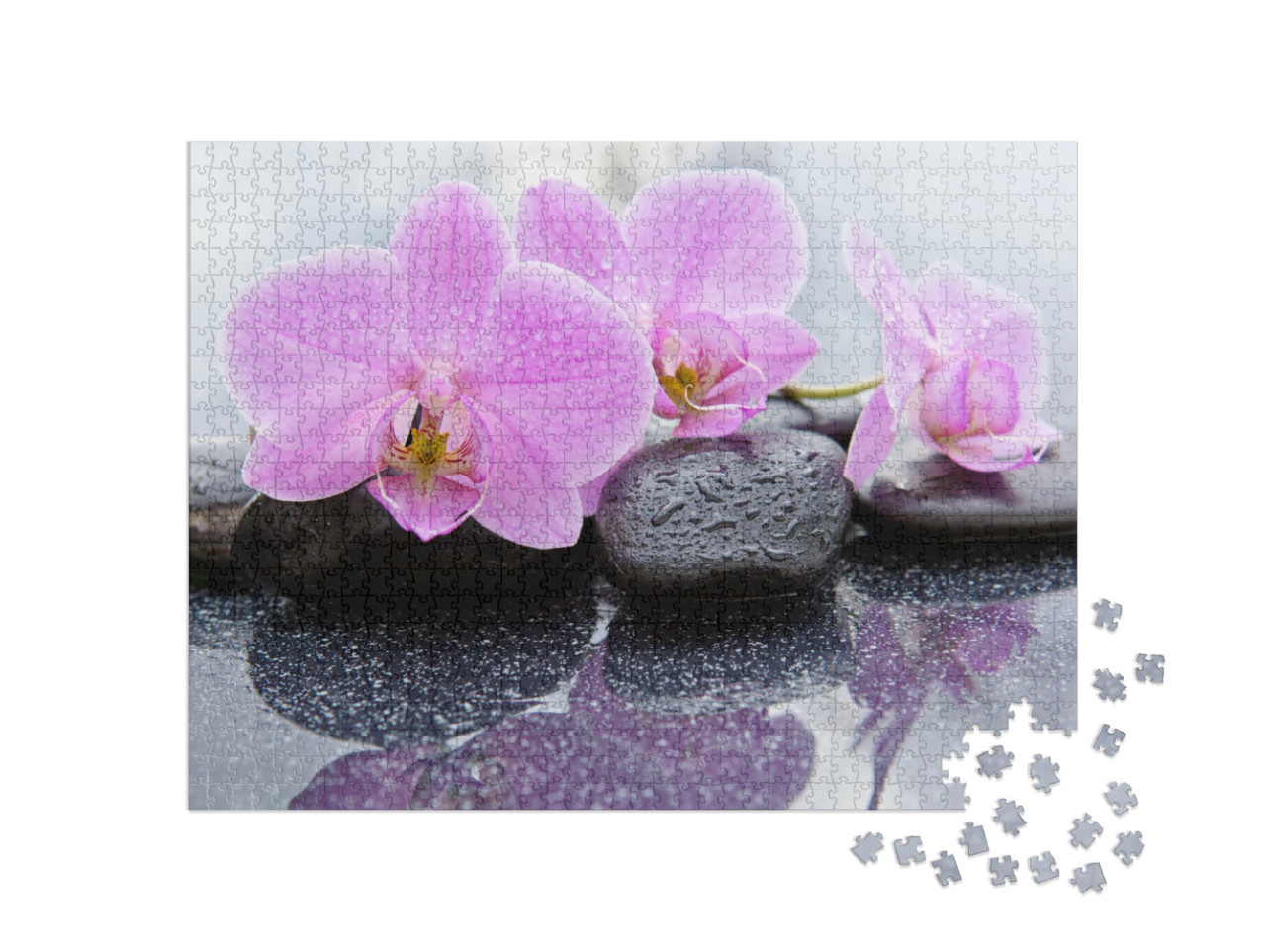 Puzzle 1000 Teile „Zartrosa Orchideenblüten auf nassen Kieselsteinen“