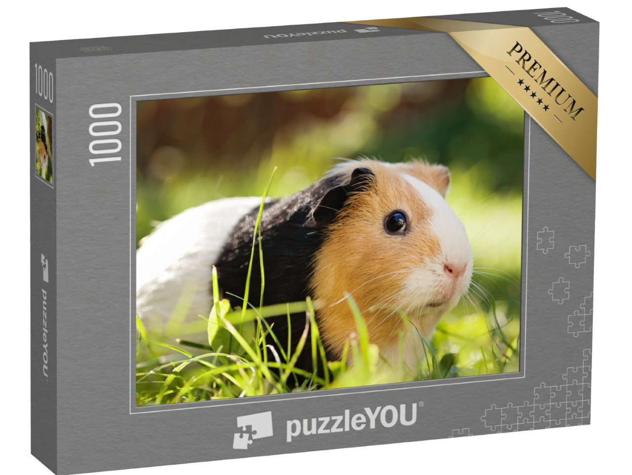 Puzzle 1000 Teile „Ein süßes dreifarbiges Meerschweinchen“
