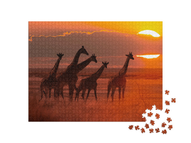 Puzzle 1000 Teile „Giraffenherde im Sonnenuntergang, Savanne in Afrika“