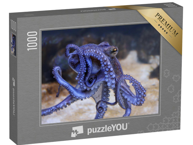 Puzzle 1000 Teile „Blauer Oktopus in einem Aquarium“
