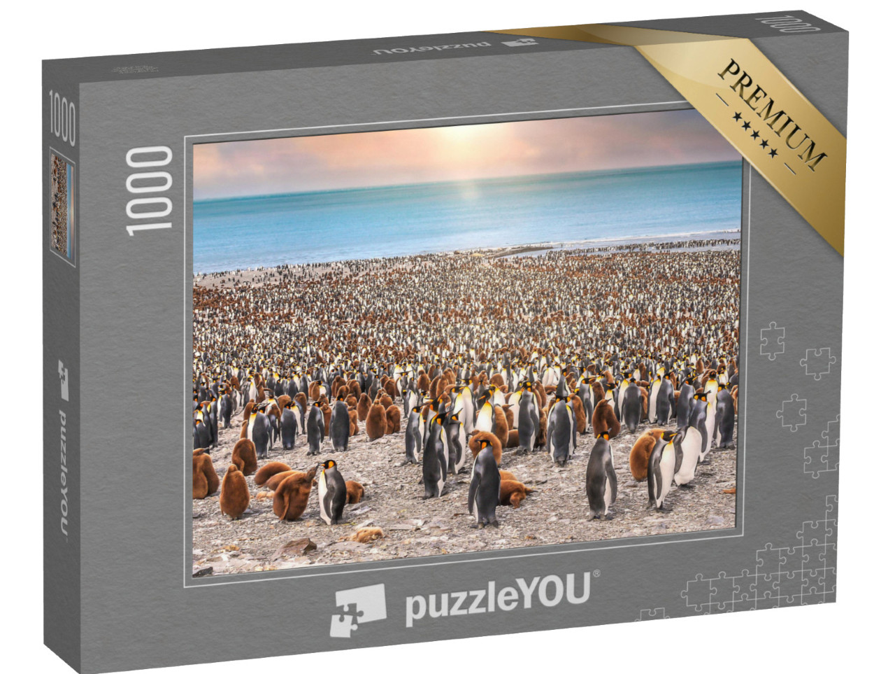 Puzzle 1000 Teile „Königspinguine am Strand von St. Andrew's Bay, South Georgia Island“