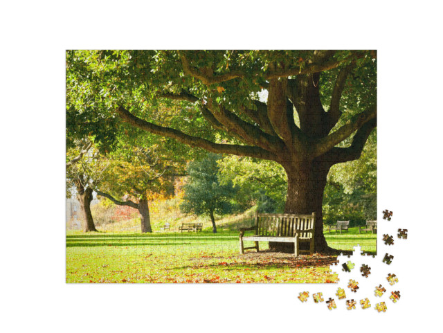 Puzzle 1000 Teile „Bank unter einem uralten Baum in den Royal Botanic Gardens, London“