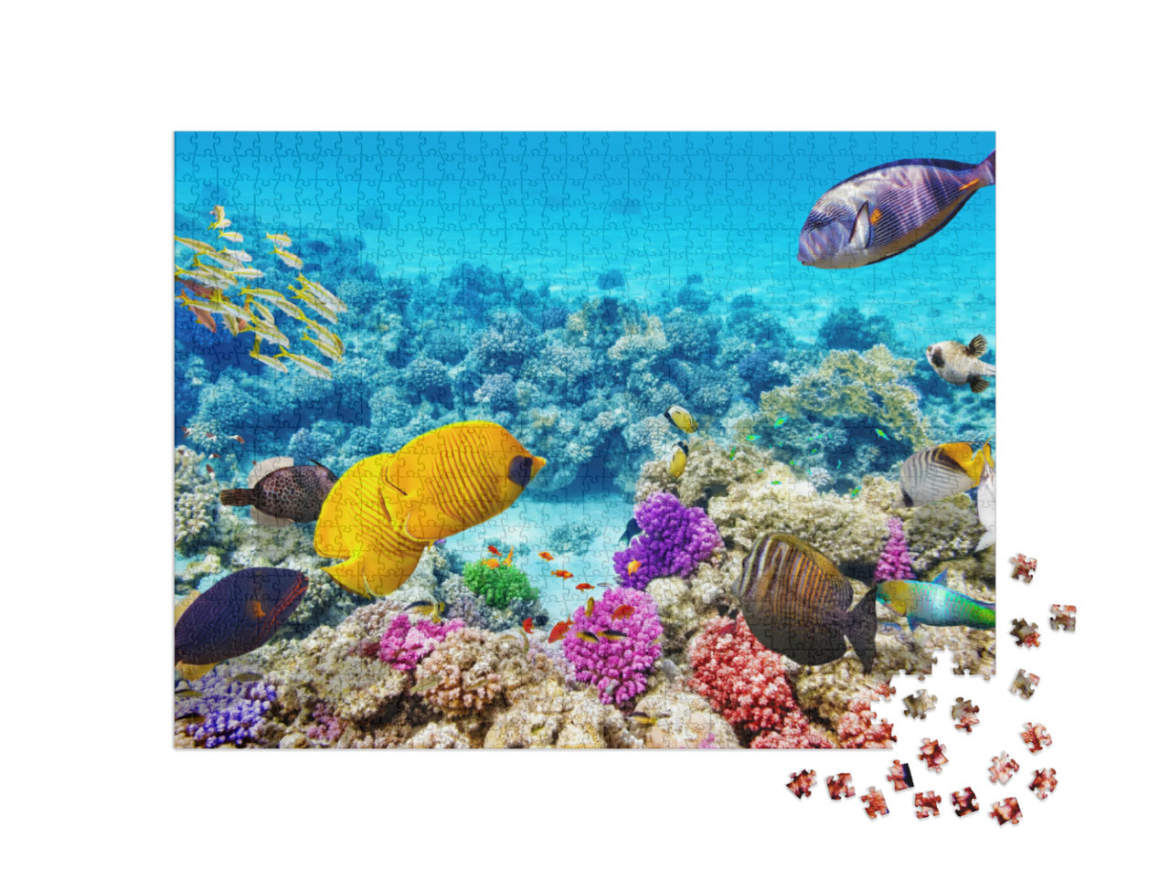 Puzzle 1000 Teile „Die Unterwasserwelt mit Korallen und tropischen Fischen“