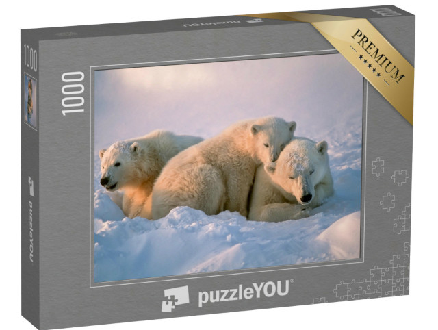 Puzzle 1000 Teile „Eisbärin mit ihren Jungen“