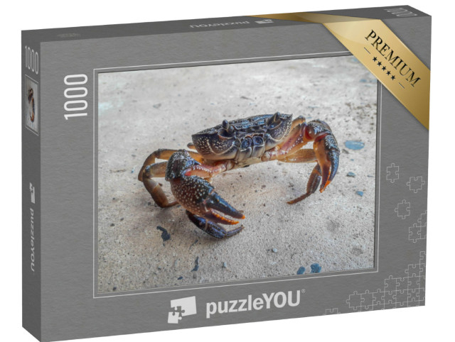 Puzzle 1000 Teile „Die schwarze Krabbe“