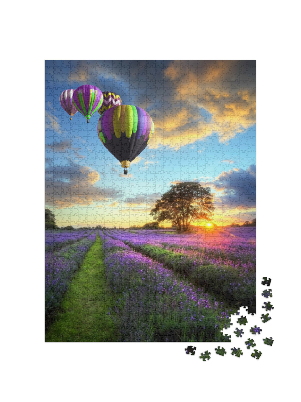 Puzzle 1000 Teile „Heißluftballons über einem Lavendelfeld im Abendlicht“