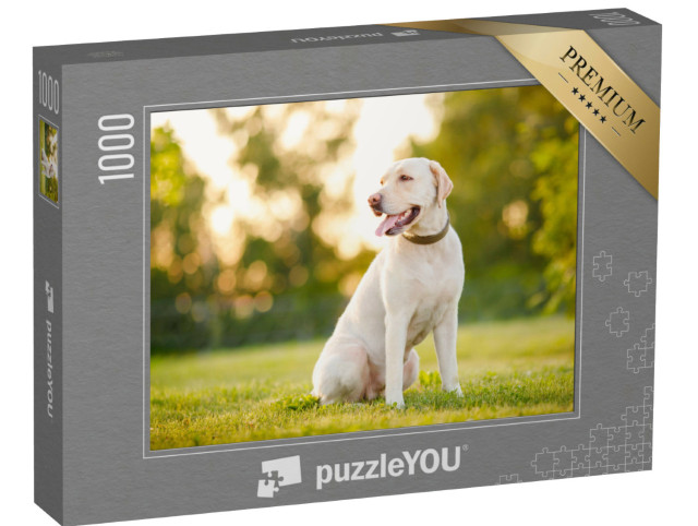 Puzzle 1000 Teile „Aufmerksamer Labrador Retriever“