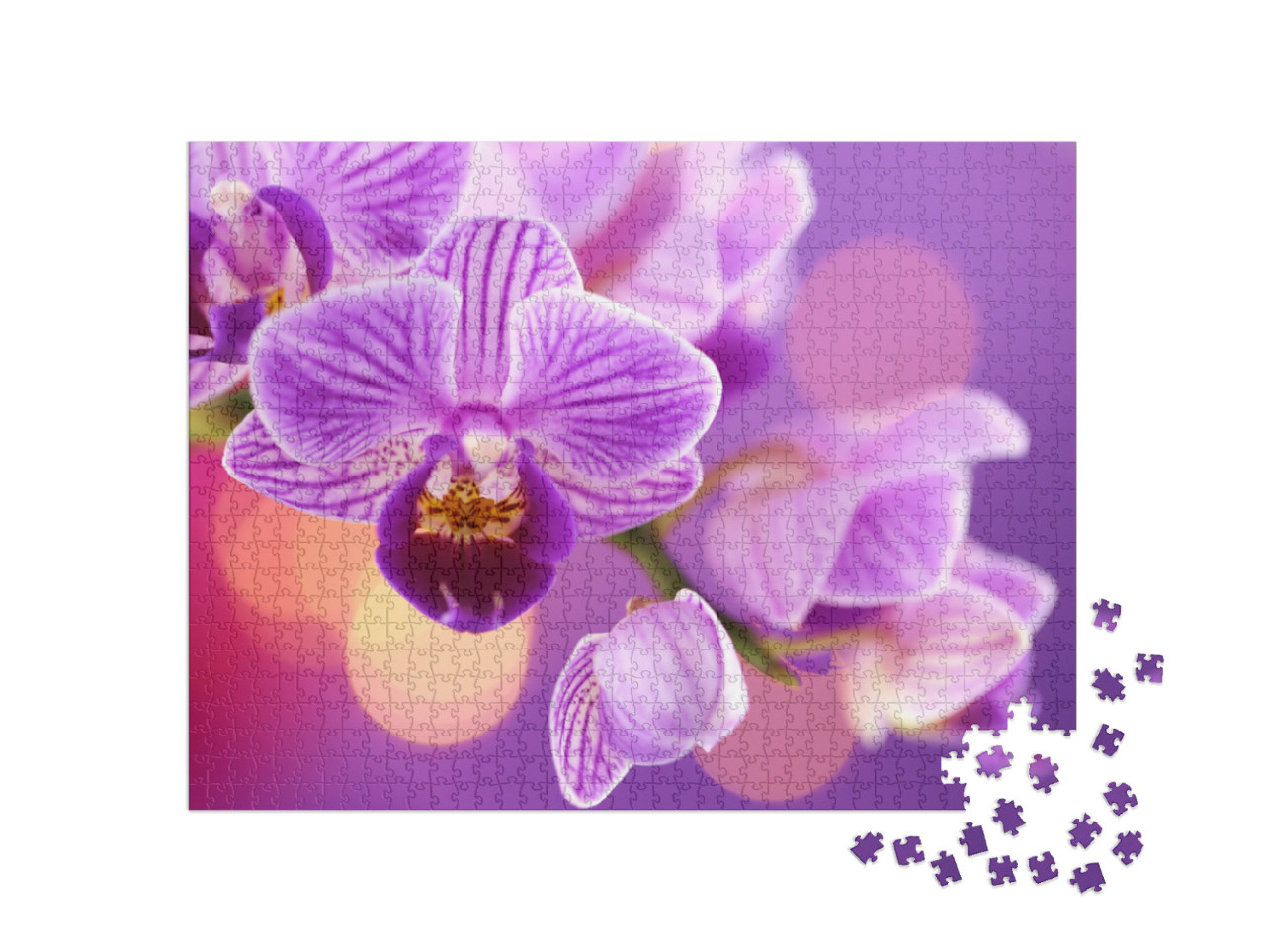 Puzzle 1000 Teile „Eine Orchidee“