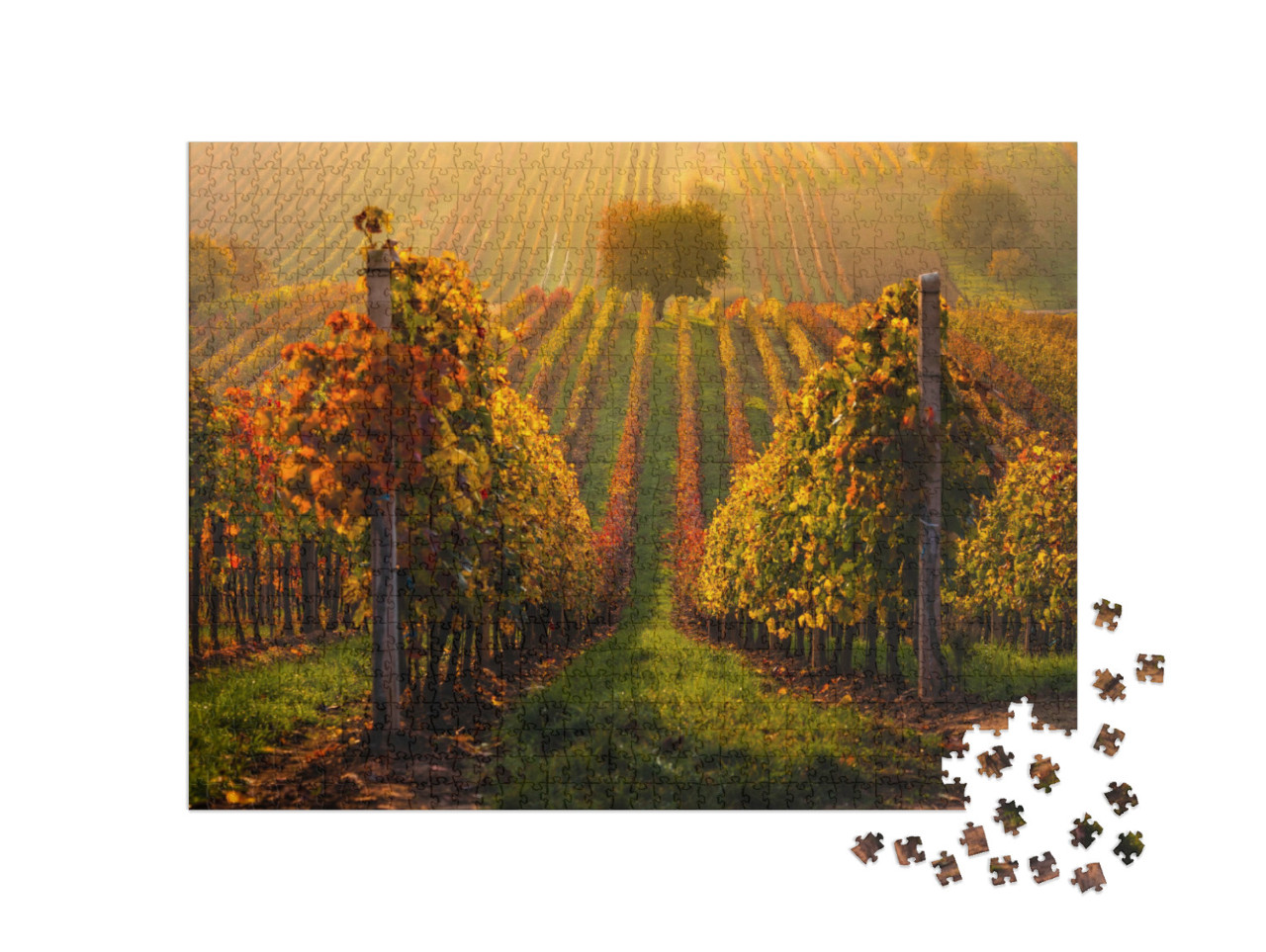 Puzzle 1000 Teile „Herbst in den mährischen Weinbergen bei Velke Bilovice in der Tschechischen Republik“