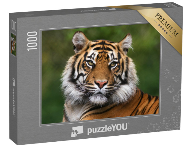 Puzzle 1000 Teile „Porträt eines bengalischen Tigers“