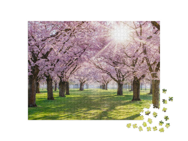 Puzzle 1000 Teile „Kirschblüte und Sonnenlicht im Park, Deutschland“