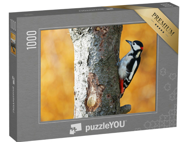 Puzzle 1000 Teile „Buntspecht im herbstlichen Wald“