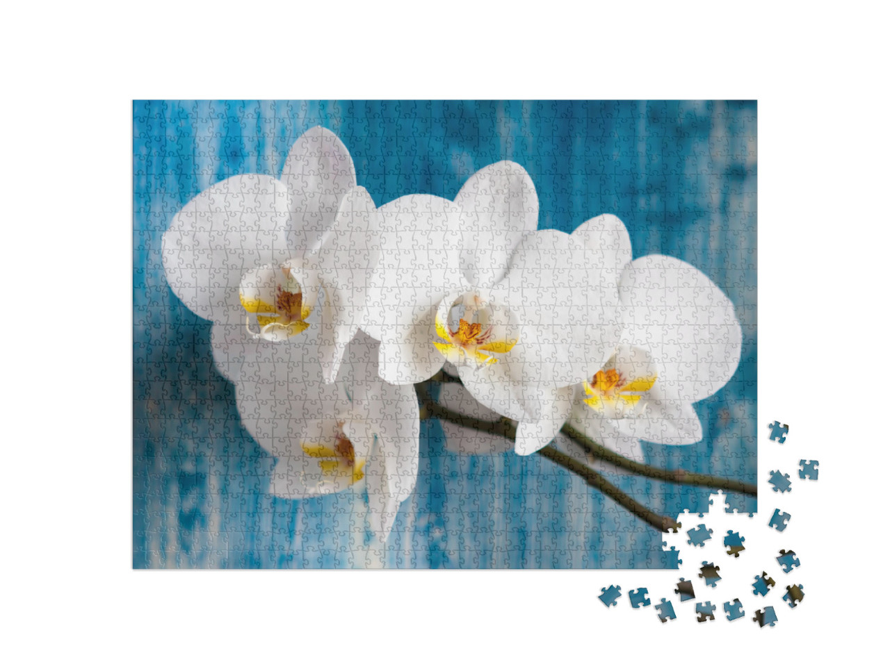 Puzzle 1000 Teile „Weiße Orchidee“