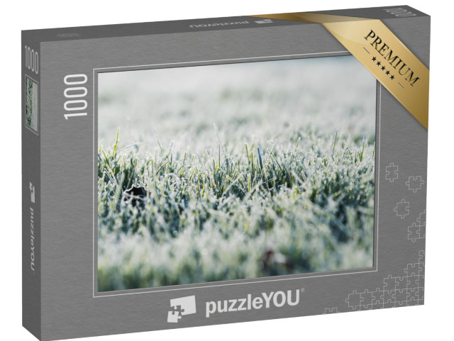 Puzzle 1000 Teile „Frost auf dem Gras in der kalten Jahreszeit“