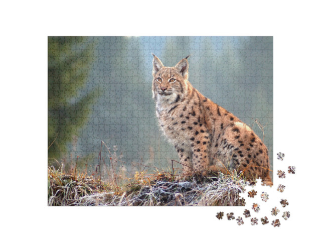 Puzzle 1000 Teile „Eurasischer Luchs in den slowakischen Karpaten“