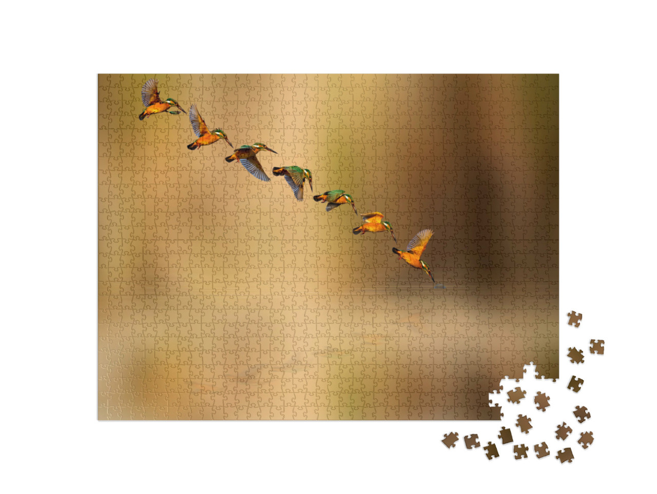 Puzzle 1000 Teile „Tauchender Eisvogel“