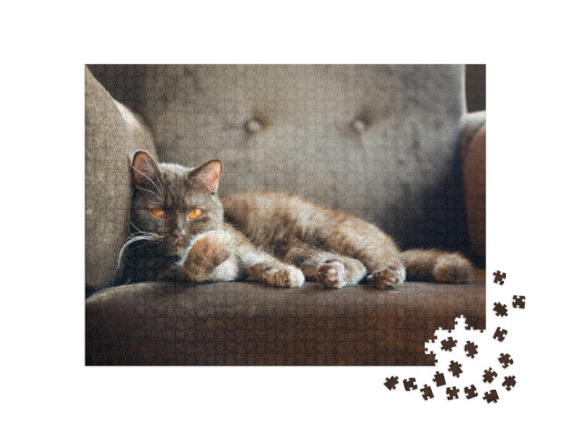 Puzzle 1000 Teile „Hauskatze auf dem Sessel“