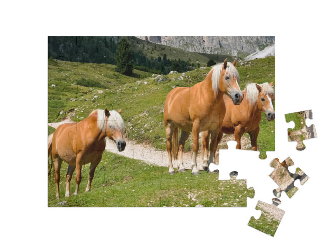 Puzzle 48 Teile „Drei Haflingerpferde auf einer Alm in Südtirol, Italien“