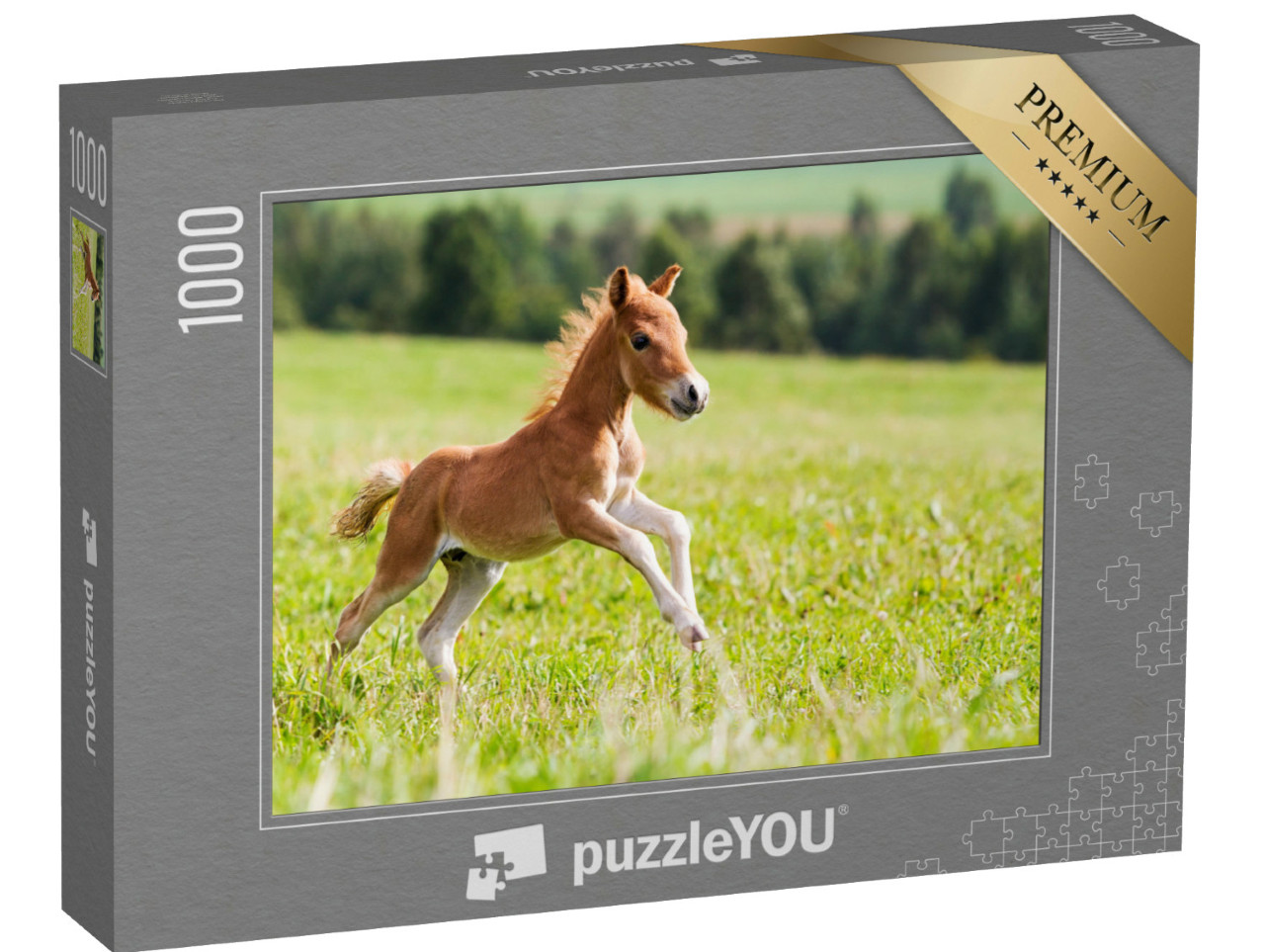 Puzzle 1000 Teile „Minipferd Falabella “