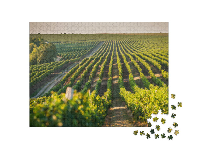 Puzzle 1000 Teile „Weinberg für den Weinanbau im Sommer“
