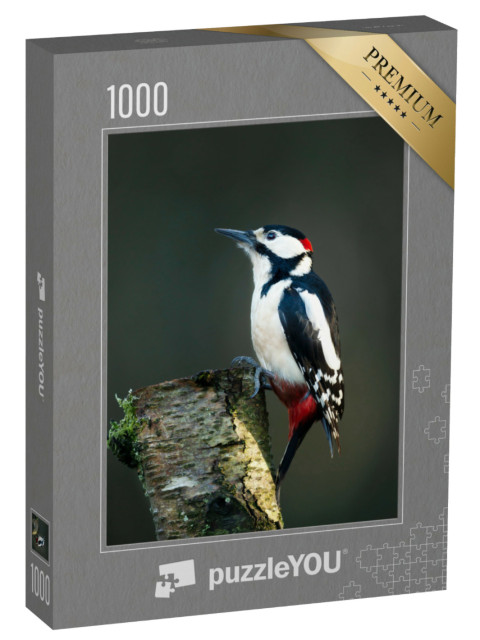 Puzzle 1000 Teile „Buntspecht auf einer bemoosten Birke“