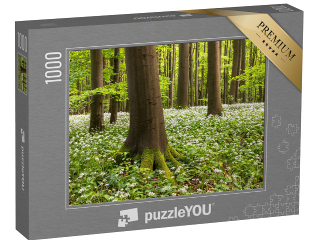 Puzzle 1000 Teile „Bärlauchblüte im Nationalpark Hainich, Thüringen“