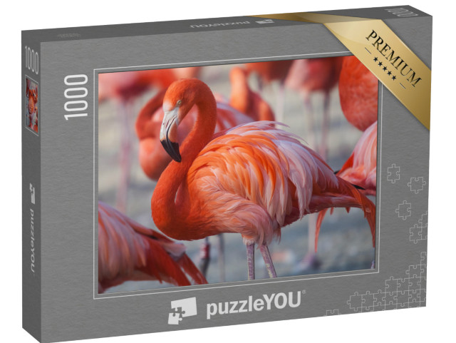 Puzzle 1000 Teile „Rosa Flamingos“