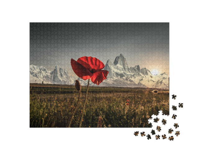 Puzzle 1000 Teile „Rote Mohnblume“
