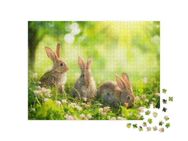 Puzzle 1000 Teile „Niedliche Kaninchen auf einer Frühlingswiese“